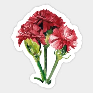 Carnation Sticker